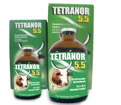 tetranoor 5.5% injectible solution 100ml