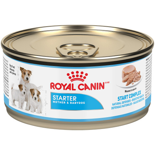 Royal Canin Starter Mousse Mother &amp; Babydog Wet Canned Dog Food, case of 24, 165g