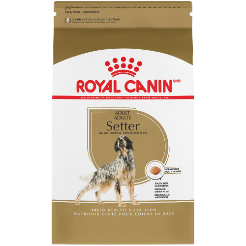 Royal Canin Setter Adult Dry Dog Food