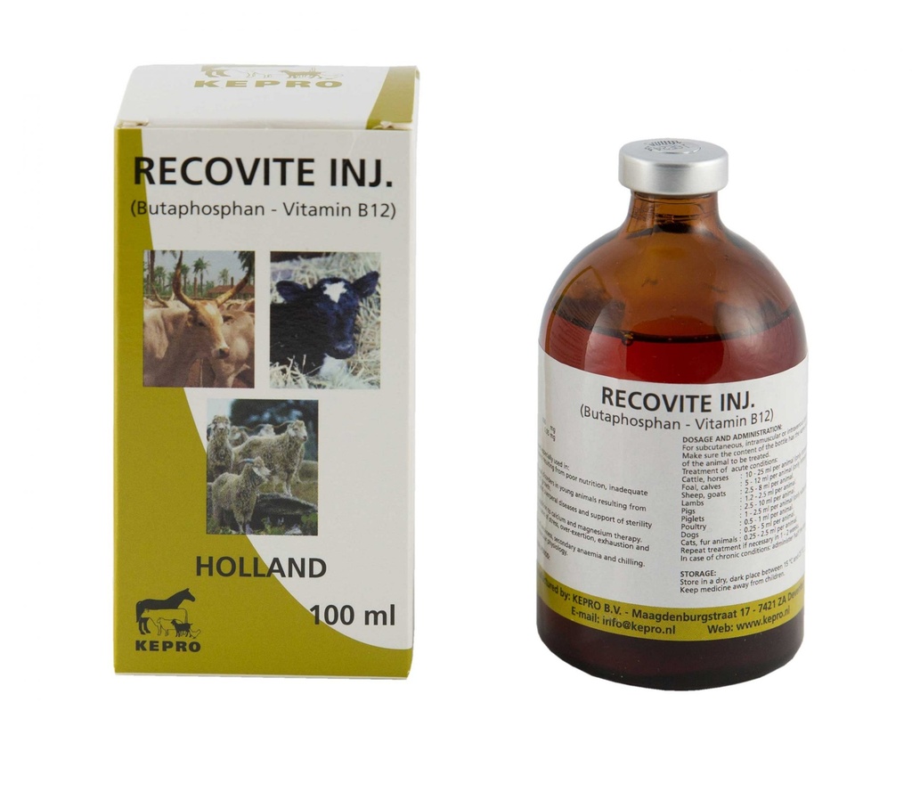 KEPRO RECOVITE MULTIDOSE VIAL INJECTION 100ml