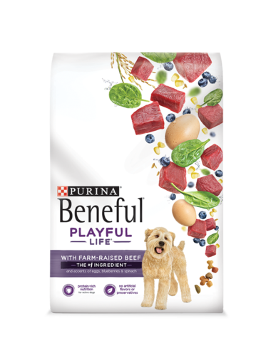 PURINA Beneful Playful Life with Farm-Raised Beef Dry Dog Food