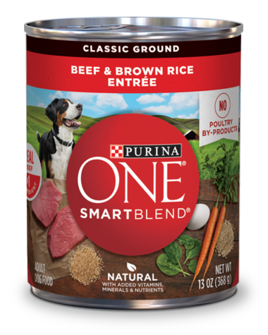 PURINA ONE SmartBlend Beef &amp; Brown Rice Entrée Classic Ground Case of 12 Wet Dog Food 368g