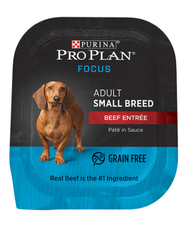 PURINA Pro Plan FOCUS Adult Small Breed Beef Entrée Case of 12 Wet Dog Food 99g