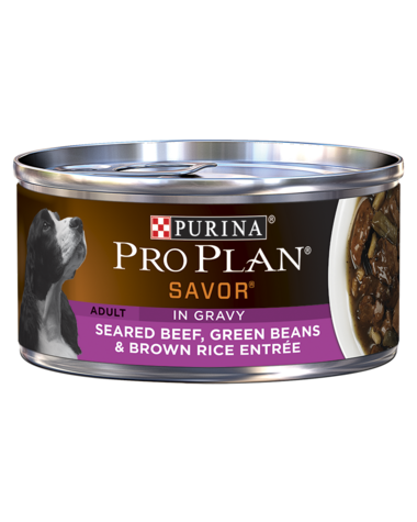 PURINA Pro Plan SAVOR Adult Seared Beef, Green Beans &amp; Brown Rice Entrée In Gravy Case of 24 Wet Dog Food 156g