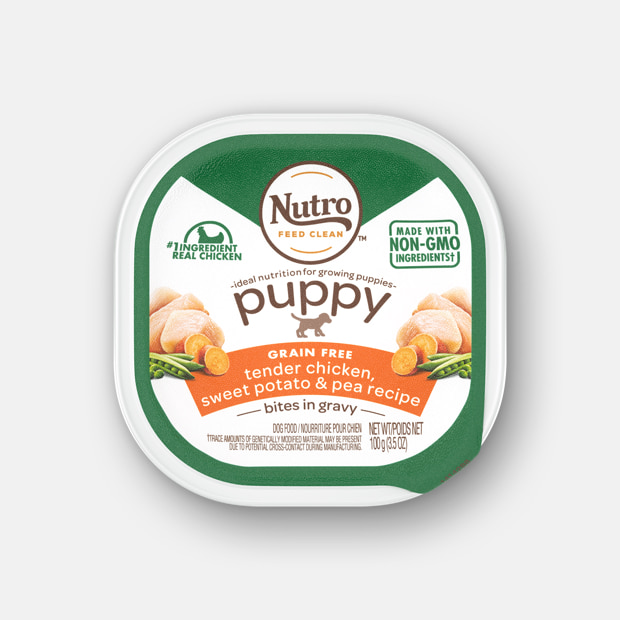 Nutro Puppy Tender Grain-Free Chicken, Sweet Potato &amp; Pea Recipe Bites in Gravy Case of 24 Dog Food Trays 100g