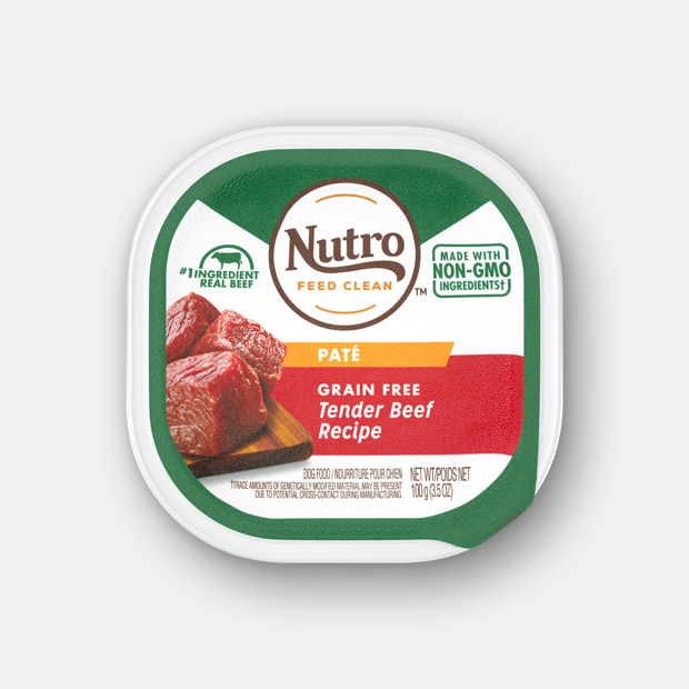 Nutro Grain-Free Tender Beef Recipe Adult Pate Case of 24 Dog Food Trays 100g