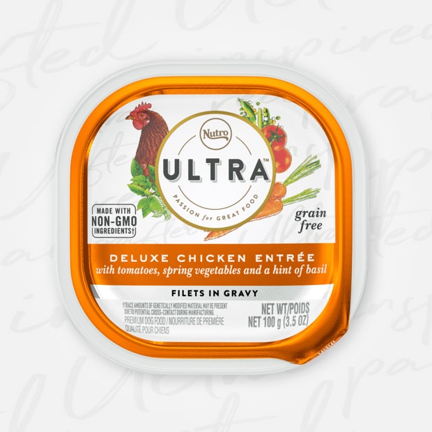 Nutro Ultra Grain-Free Filets in Gravy Deluxe Chicken Entree Adult Case of 24 Wet Dog Food Trays 100g