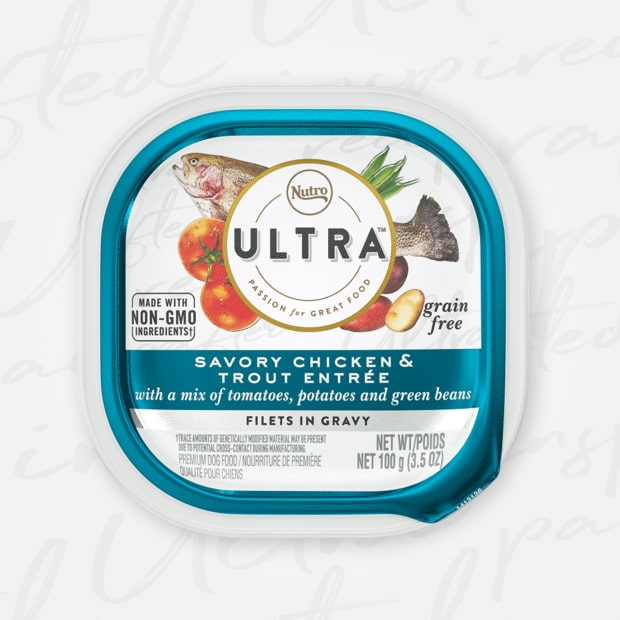 Nutro Ultra Grain-Free Filets in Gravy Savory Chicken &amp; Trout Entree Adult Case of 24 Wet Dog Food Trays 100g