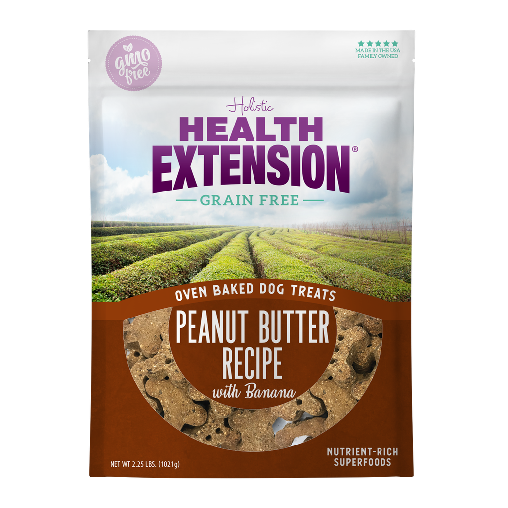 Health Extension Grain-Free Oven Baked Peanut Butter Recipe Dog Treats 1kg