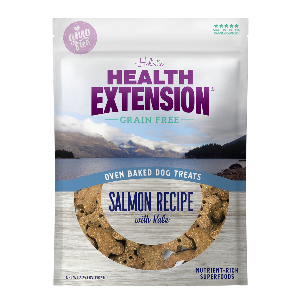 Health Extension Grain-Free Oven Baked Salmon Recipe with Kale Dog Treats 1kg