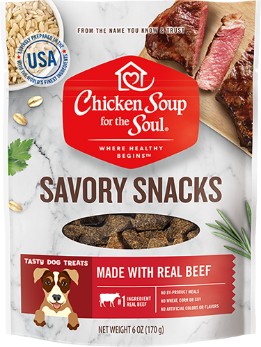 CHICKEN SOUP FOR THE SOUL Savory Snacks Real Beef Dog Treats 170g