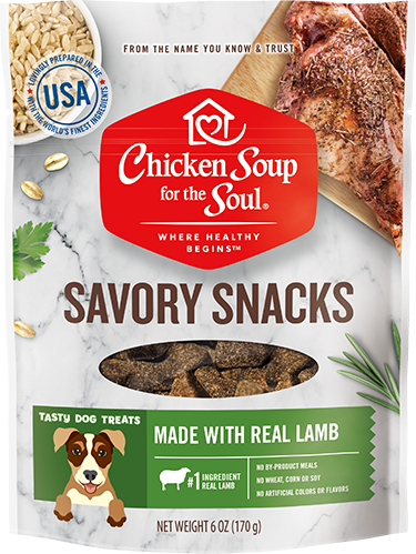 CHICKEN SOUP FOR THE SOUL Savory Snacks Real Lamb Dog Treats 170g