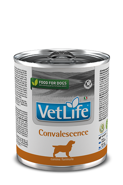 FARMINA VETLIFE CONVALESCENCE CASE OF 6 WET DOG FOOD 300G