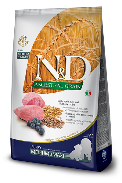 FARMINA N&amp;D ANCESTRAL GRAIN LAMB &amp; BLUEBERRY PUPPY MEDIUM &amp; MAXI BREED DRY DOG FOOD 12KG