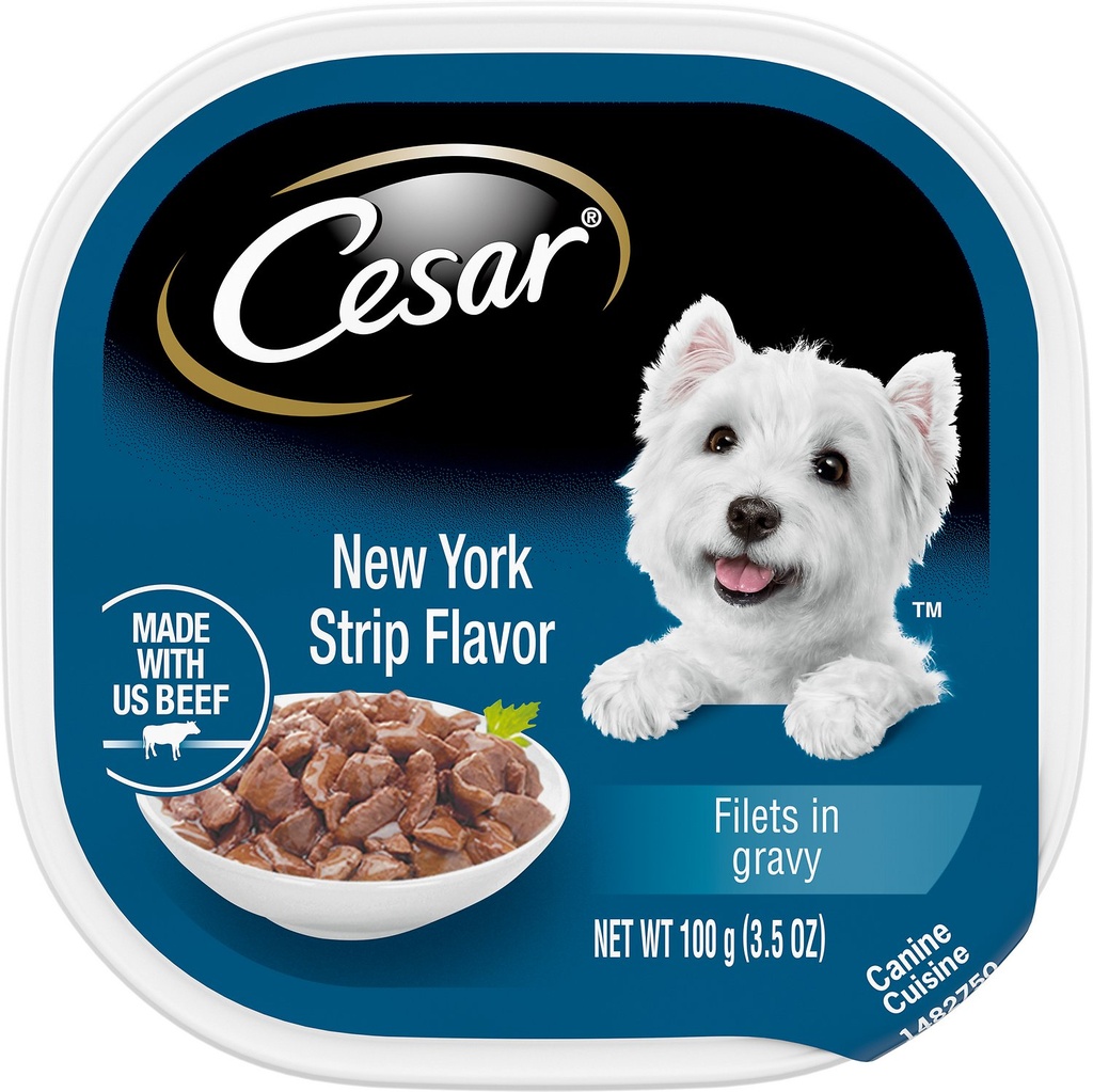 Cesar Filets in Gravy New York Strip Case of 24 Wet Dog Food Trays, 100g