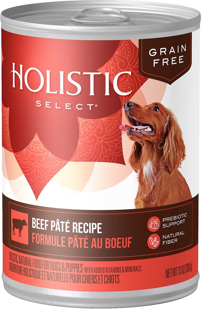 HOLISTIC SELECT Beef Pate Recipe Grain-Free Case of 12 Wet Canned Dog Food 369g