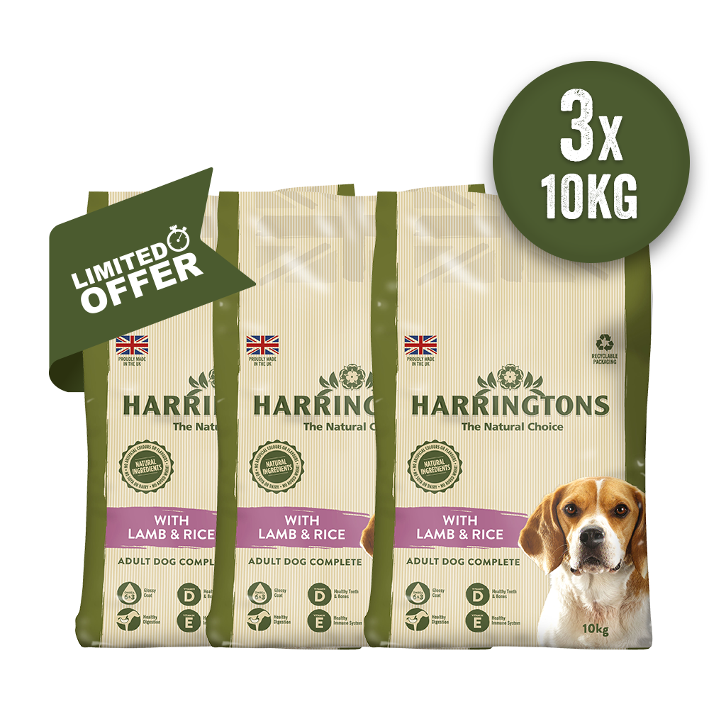 HARRINGTONS TRIPLE LAMB &amp; RICE VARIETY BUNDLE OF 3 ADULT DRY DOG FOOD 10KG