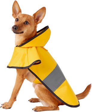 Frisco Rainy Days Dog Raincoat, Small