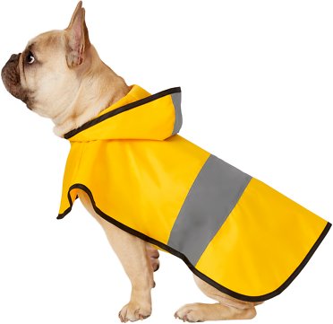 Frisco Rainy Days Dog Raincoat, Medium