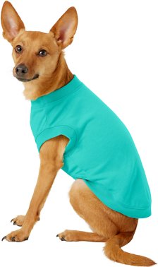 Frisco Basic Dog &amp; Cat T-Shirt, Teal, Small