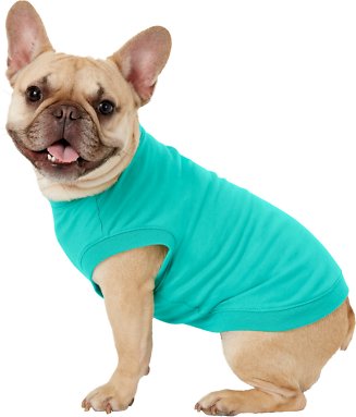 Frisco Basic Dog &amp; Cat T-Shirt, Teal, Medium