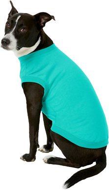 Frisco Basic Dog &amp; Cat T-Shirt, Teal, Large