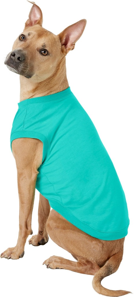 Frisco Basic Dog &amp; Cat T-Shirt, Teal, X-Large