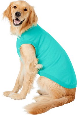 Frisco Basic Dog &amp; Cat T-Shirt, Teal, XX-Large