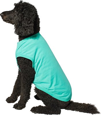 Frisco Basic Dog &amp; Cat T-Shirt, Teal, XXX-Large