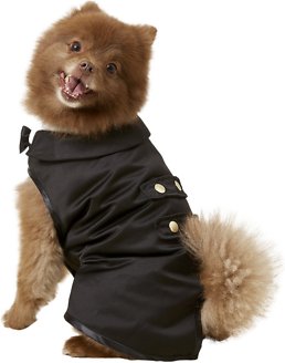 Frisco Formal Dog &amp; Cat Tuxedo, Black, Medium