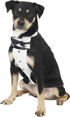 Frisco Formal Dog &amp; Cat Tuxedo, Black, Large