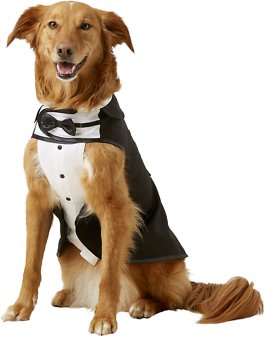 Frisco Formal Dog &amp; Cat Tuxedo, Black, X-Large