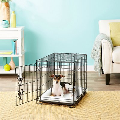 Frisco Fold &amp; Carry Single Door Collapsible Wire Dog Crate, 24 inch