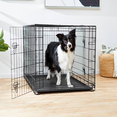 Frisco Fold &amp; Carry Double Door Collapsible Wire Dog Crate, 42 inch, Large