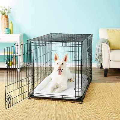 Frisco Fold &amp; Carry Double Door Collapsible Wire Dog Crate, 48 inch, X-Large