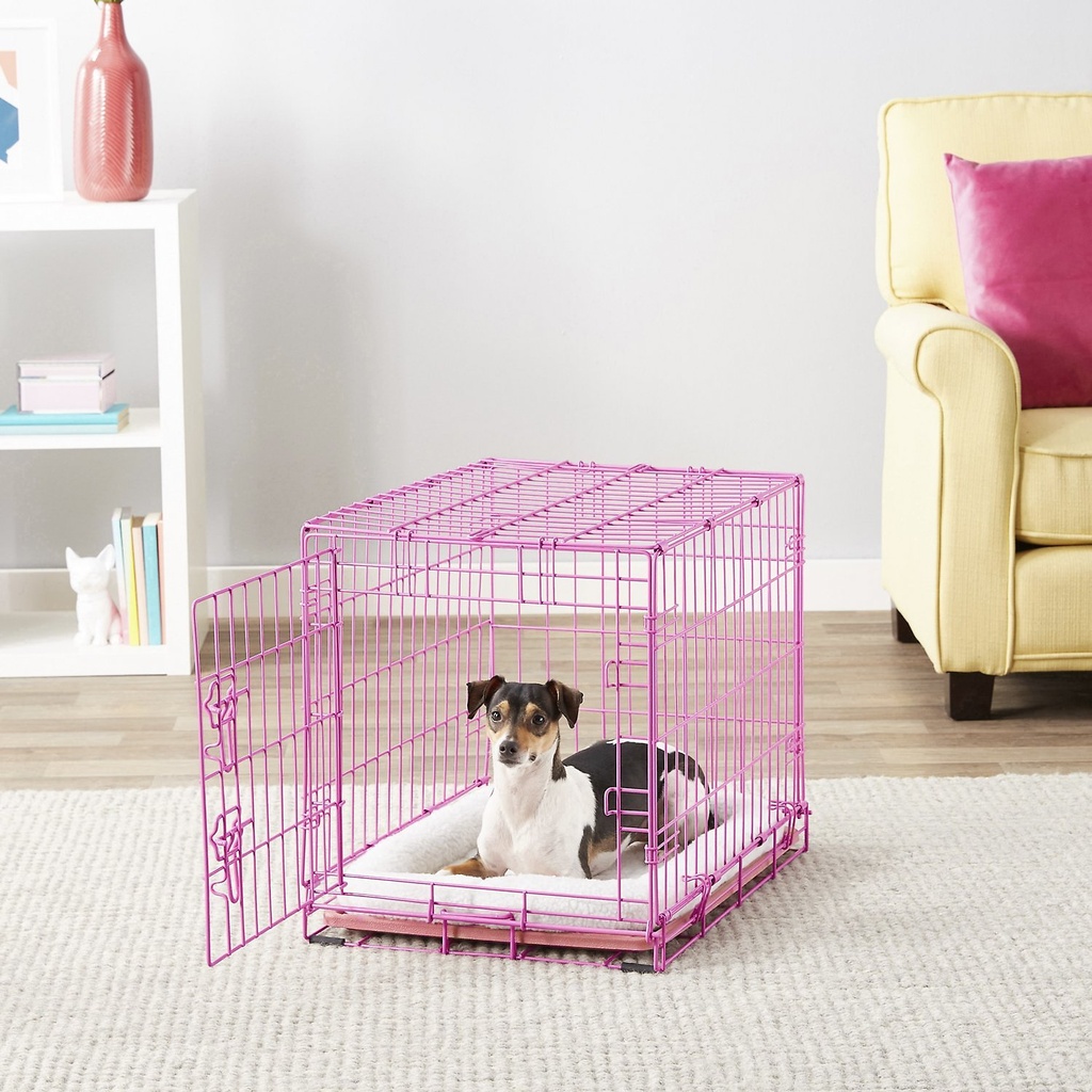 Frisco Fold &amp; Carry Single Door Collapsible Wire Dog Crate, Pink, 24 inch