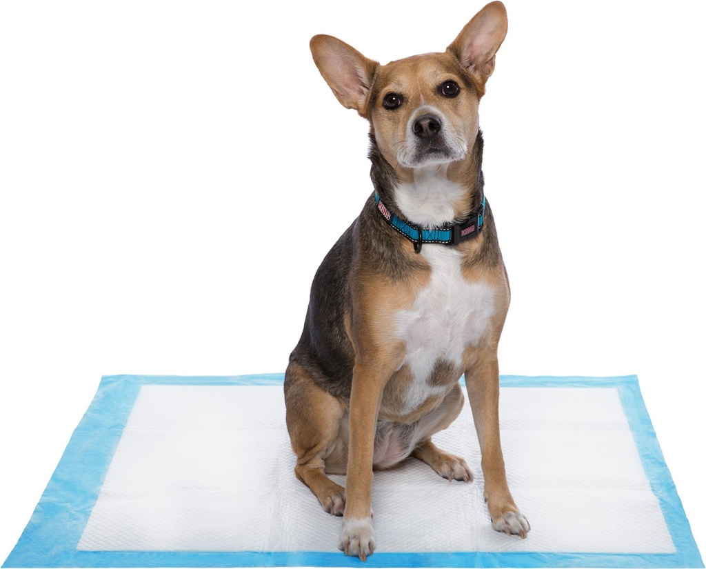 Frisco Unscented 150 Count Extra Large Dog Training &amp; Potty Pads, 28 x 34-in