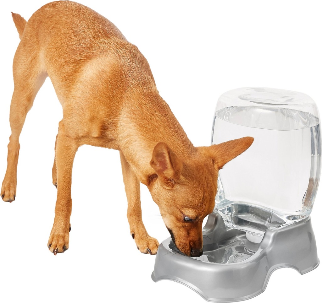 Frisco Gravity Refill Pet Waterer, Small