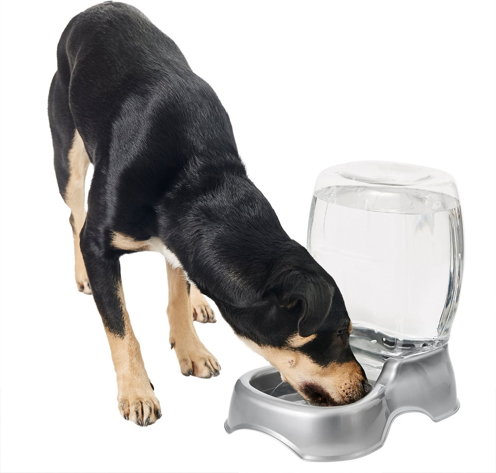 Frisco Gravity Refill Pet Waterer, Medium