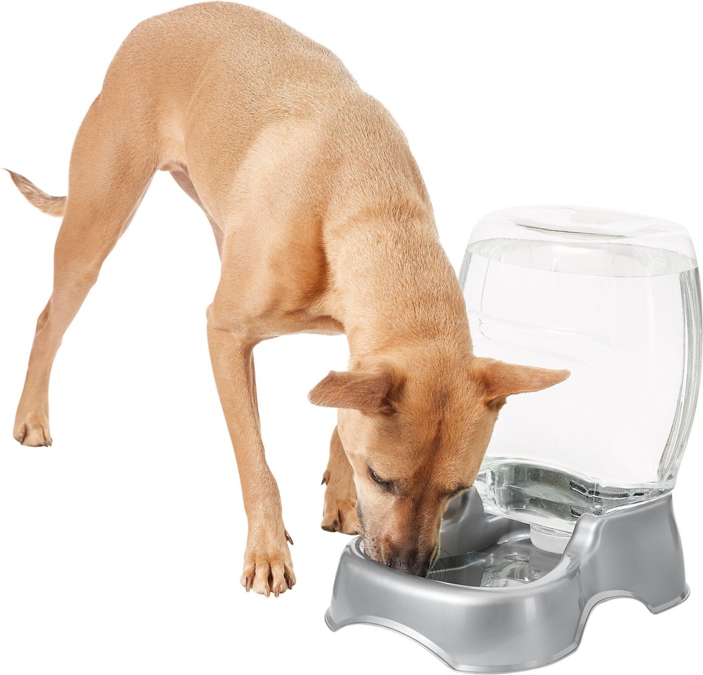 Frisco Gravity Refill Pet Waterer, Large