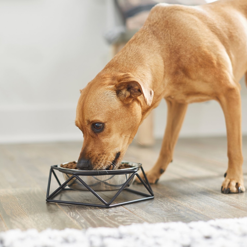 Frisco Elevated Stainless Steel 1.7cups Dog &amp; Cat Bowl with Metal Stand