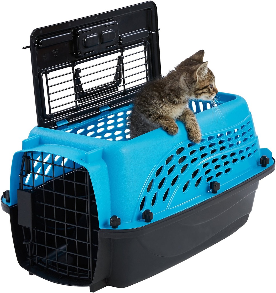 Frisco Two Door Top Load Plastic Dog &amp; Cat Kennel, 19 inch