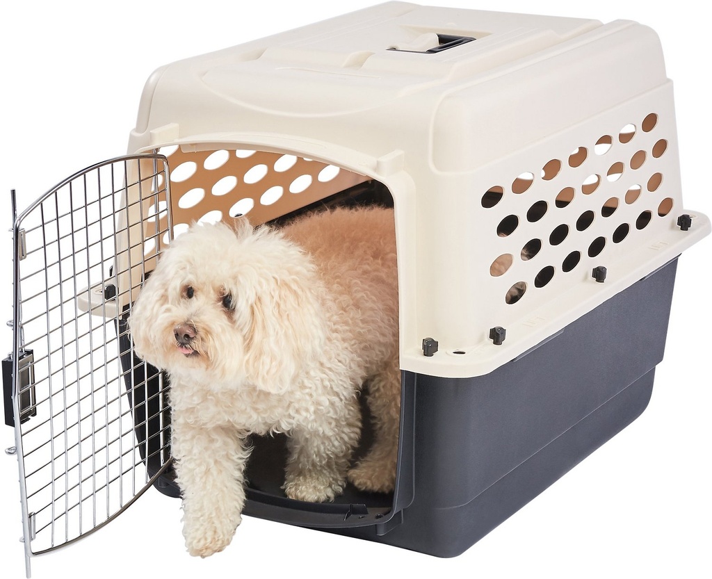 Frisco Plastic Dog &amp; Cat Kennel, Almond &amp; Black, Medium