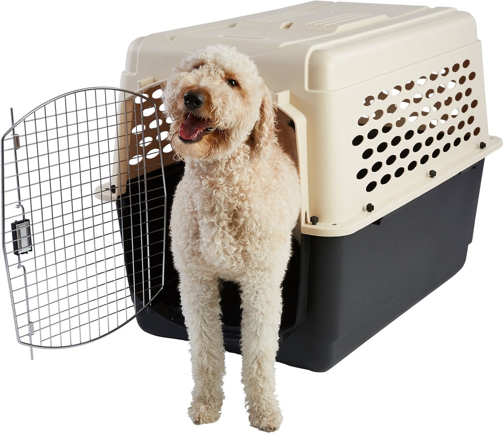 Frisco Plastic Dog &amp; Cat Kennel, Almond &amp; Black, X-Large