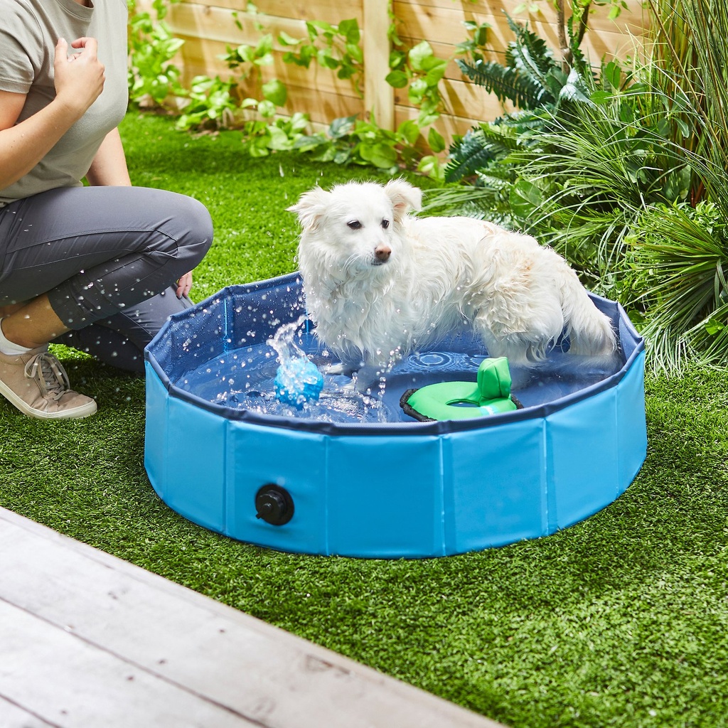 Frisco Outdoor Dog Swimming Pool, Medium