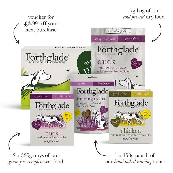 FORTHGALE Starter Taster Pack Grain-Free Wet Dog Food