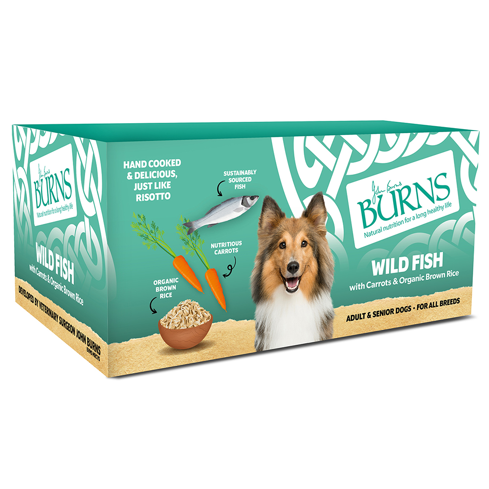 BURNS Wild Fish, Vegetables &amp; Brown Rice Case of 6 Adult Wet Dog Food 150g