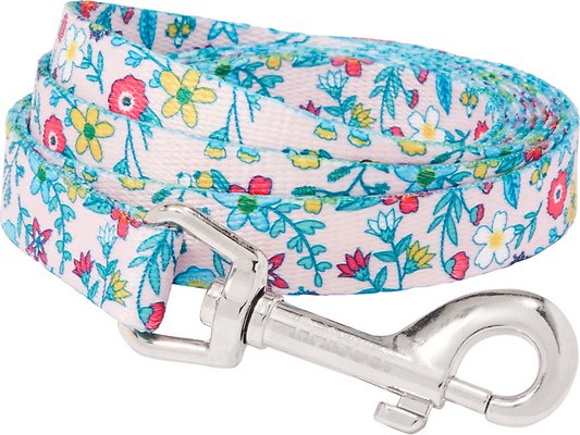 Frisco Spring Floral Polyester Dog Leash, Small: 6-ft long, 5/8-in wide