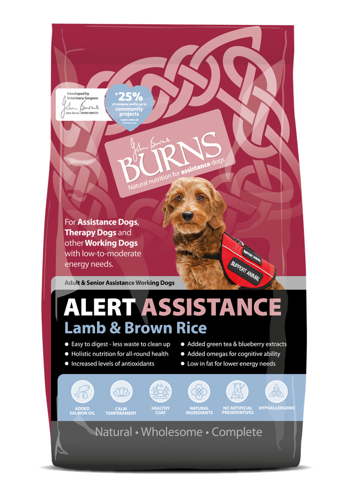 BURNS Alert Resistance Lamb &amp; Brown Rice Dry Dog Food 6kg