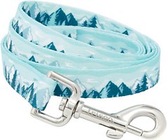 Frisco Mountain View Dog Leash, Large: 6-ft Long, 1-in Wide